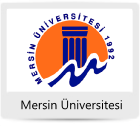 mersin_uni anket örnekleri